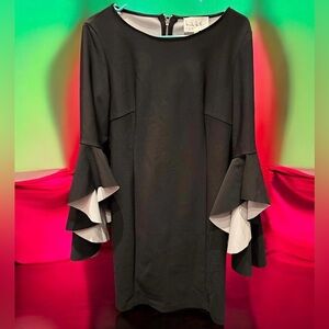 NEW White House Black Market Ruffle Sleeves SIZE 10 pit to pit 17in length 35in